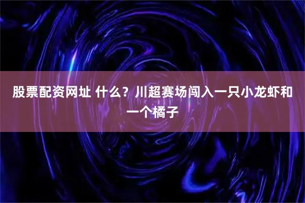 股票配资网址 什么?川超赛场闯入一只小龙虾和一个橘子