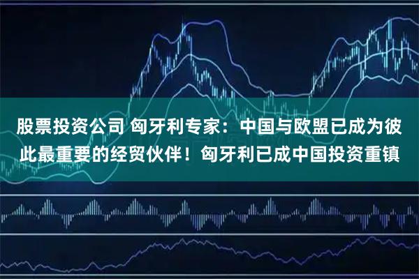 股票投资公司 匈牙利专家:中国与欧盟已成为彼此最重要的经贸伙伴!匈牙利已成中国投资重镇